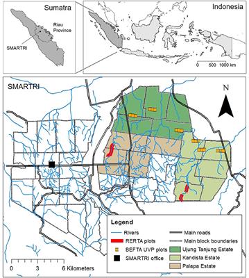 Managing Oil Palm Plantations More Sustainably: Large-Scale Experiments Within the Biodiversity and Ecosystem Function in Tropical Agriculture (BEFTA) Programme